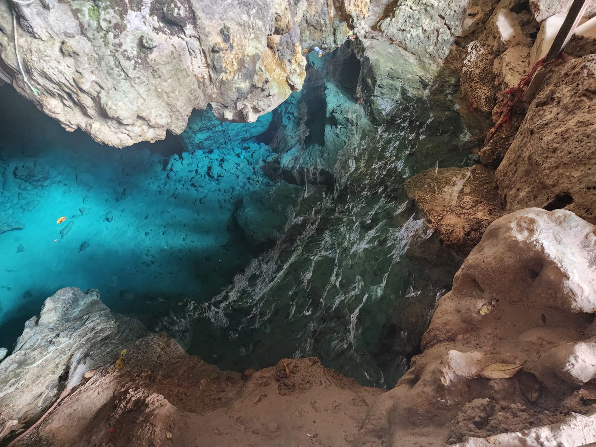 Be a dominican for a Day 