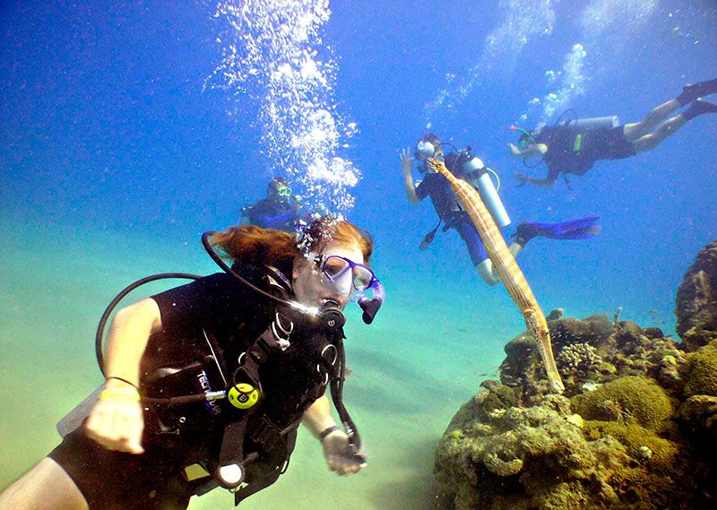 Dominican Scuba Diving Package