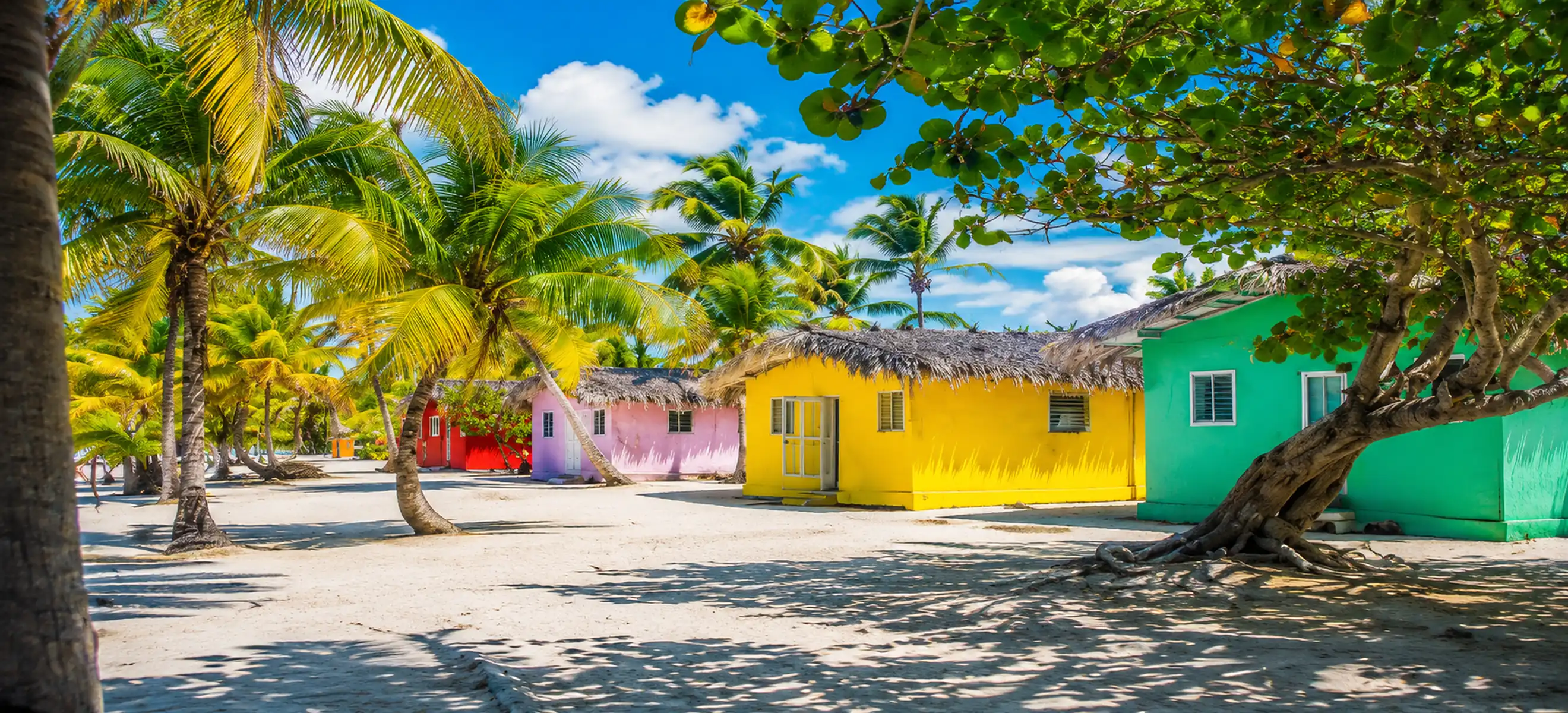 Colorful tropical houses beneath palm trees on Saona Island in the Dominican Republic.