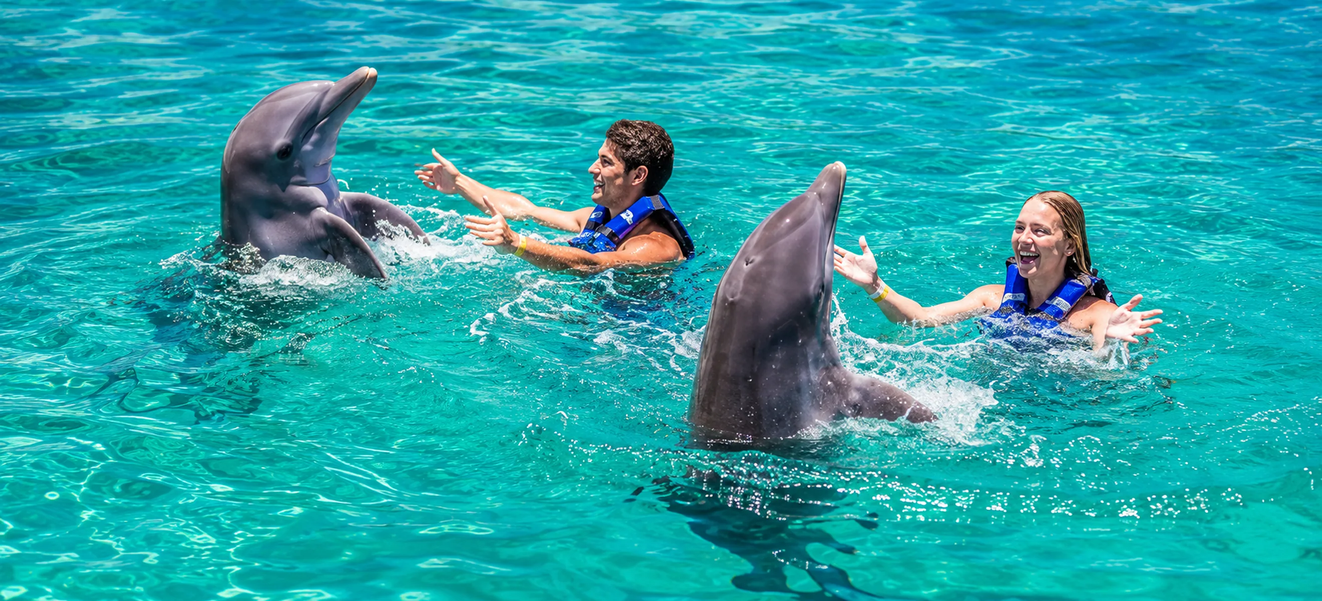Guests interacting with two dolphins during Dolphin Excellence swim in Punta Cana