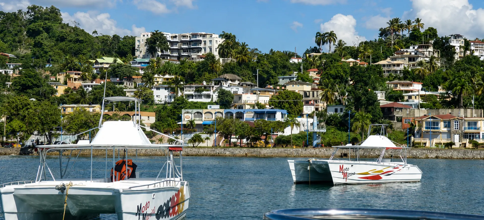 Tour boats at the Samaná waterfront before a whale watching excursion