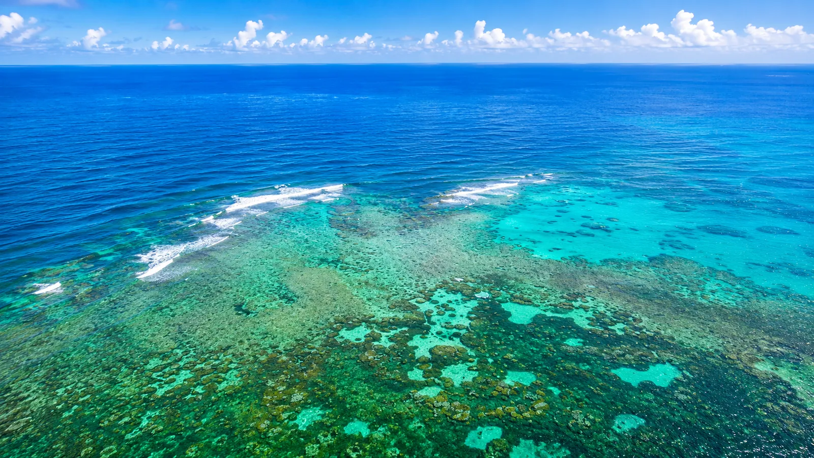 Aerial view of Punta Cana coral reef and turquoise Caribbean waters