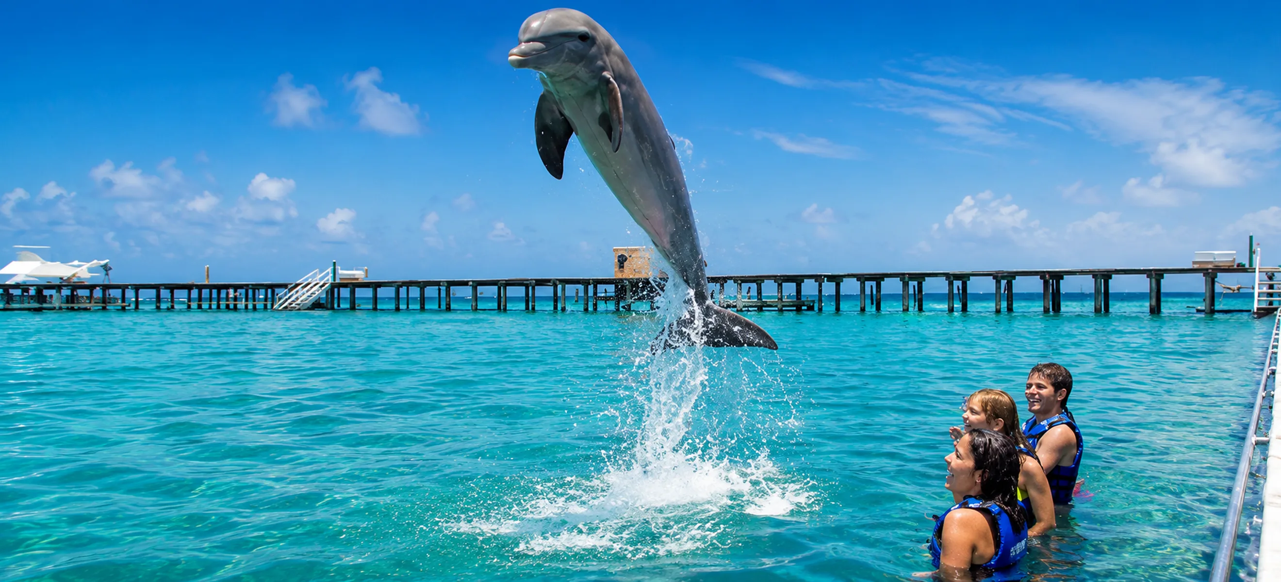 Dolphin jumping during interactive dolphin experience in Punta Cana