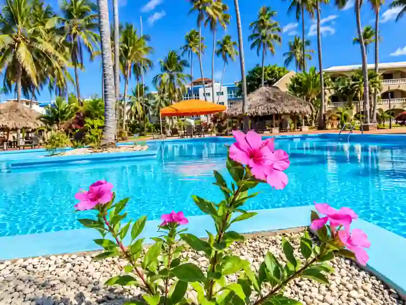 Cortecito Inn Punta Cana swimming pool with tropical palm trees and pink hibiscus flowers
